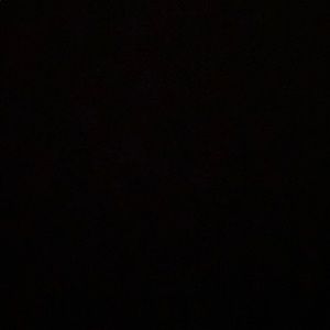 Meet your Posher, Donald